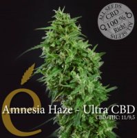 (Bild für) Amnesia Haze Ultra CBD female