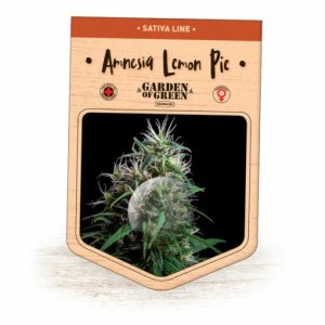 (Bild für) Amnesia Lemon Pie fem