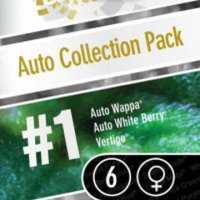(Bild für) Auto Collection #1 6 fem