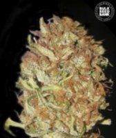 (Bild für) Auto Psychedelic female