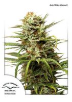 (Bild für) Auto White Widow