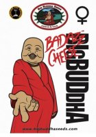 (Bild für) Badazz Cheese fem