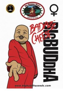 (Bild für) Badazz Cheese fem