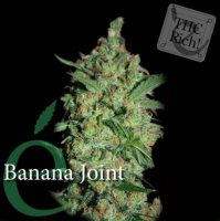 (Bild für) Banana Joint female