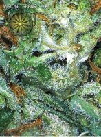 (Bild für) Big Bud fem