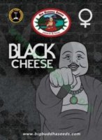 (Bild für) Black Cheese fem