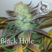 (Bild für) Black Hole female