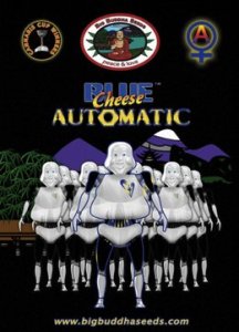 (Bild für) Blue Cheese Automatic fem
