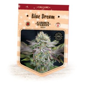 (Bild für) Blue Dream fem