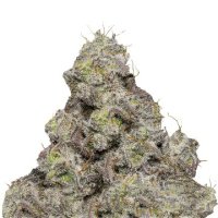 (Bild für) Blue Forest Berry Auto fem