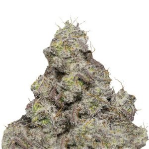 (Bild für) Blue Forest Berry Auto fem
