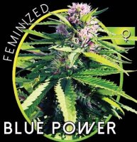 (Bild für) Blue Power fem