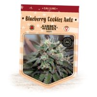 (Bild für) Blueberry Cookies Auto fem