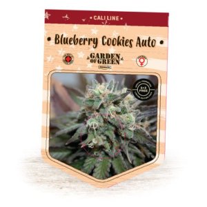 (Bild für) Blueberry Cookies Auto fem