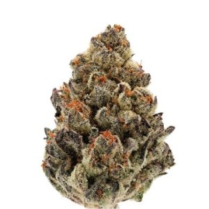 (Bild für) Bruce Banner Auto fem