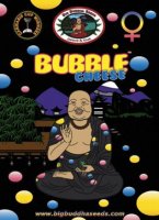 (Bild für) Bubble Cheese fem