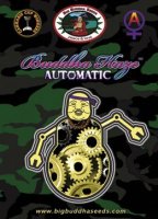 (Bild für) Buddha Haze Automatic fem