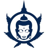 (Bild für) Buddha Seeds