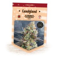 (Bild für) Candyland fem