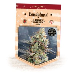(Bild für) Candyland fem