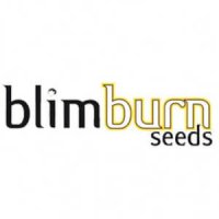 (Bild für) Blimburn Seeds
