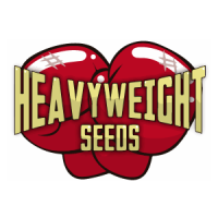 (Bild für) Heavy Weight Seeds