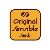 (Bild für) Original Sensible