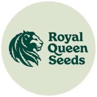 (Bild für) Royal Queen Seeds