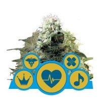 (Bild für) Royal Queen CBD Mix