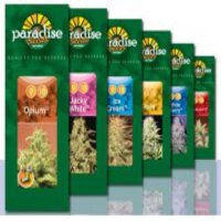 (Bild für) Championspack Indica 6 fem