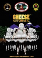 (Bild für) Cheese Automatic fem