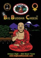 (Bild für) Big Buddha Cheese fem