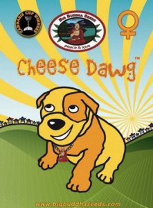 (Bild für) Cheese Dawg fem