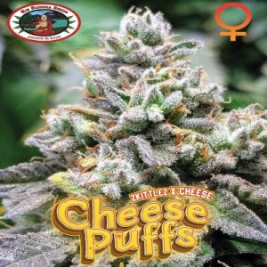 (Bild für) Cheese Puffs fem