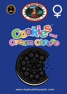 (Bild für) Cookies and Cream Cheese fem