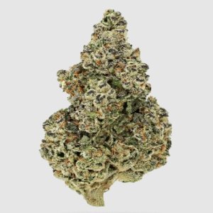 (Bild für) Crazy Roses Fast fem