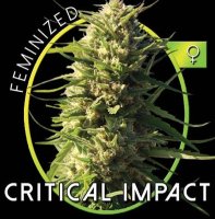 (Bild für) Critical Impact fem