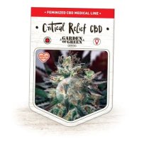 (Bild für) Critical Relief CBD fem