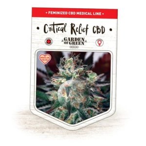 (Bild für) Critical Relief CBD fem