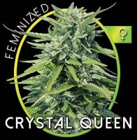 (Bild für) Crystal Queen fem