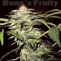 (Bild für) Danes Fruity Auto