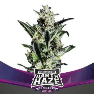 (Bild für) Darth Haze
