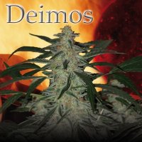 (Bild für) Deimos Auto fem