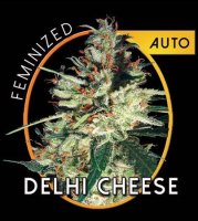 (Bild für) Delhi Cheese Auto fem