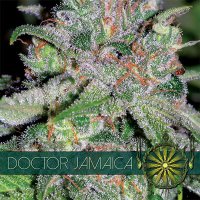 (Bild für) Doctor Jamaica fem