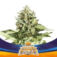 (Bild für) Double Cookies Auto