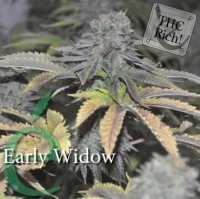 (Bild für) Early Widow female