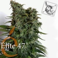 (Bild für) Elite 47 female