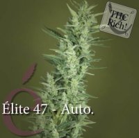 (Bild für) Elite 47 Automatic female