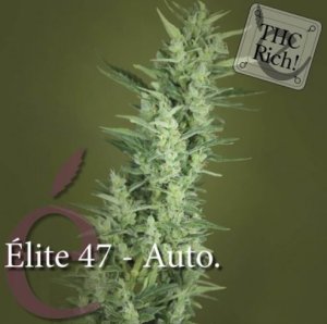 (Bild für) Elite 47 Automatic female